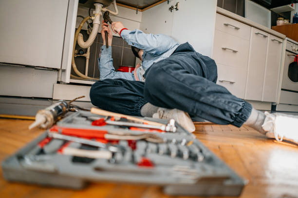 Best Same-Day Plumbing Service  in South Roxana, IL