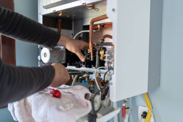 Best Local Plumber Services  in South Roxana, IL