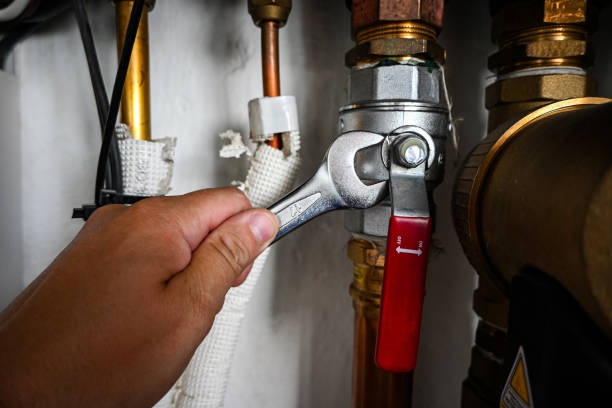 Best Emergency Plumbing Repair  in South Roxana, IL